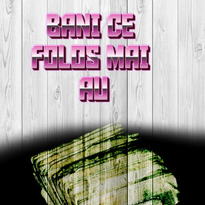 Album BANI CE FOLOS MAI AU from Costel Ciofu