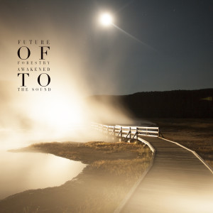 Listen to Canyons song with lyrics from Future of Forestry