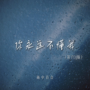 Album 你永远不懂我(笛子DJ版) from 雨中百合