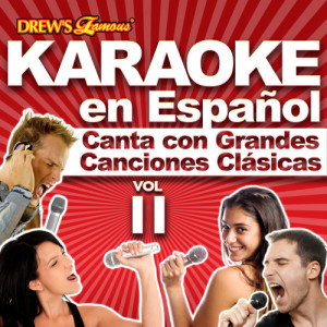 ดาวน์โหลดและฟังเพลง Delicias a Tu Diestra (Karaoke Version) พร้อมเนื้อเพลงจาก The Hit Crew