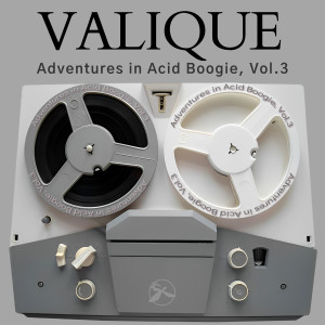Dengarkan lagu You're Gone (Valique 2023 Refreshed Dub) nyanyian Smoove & Turrell dengan lirik
