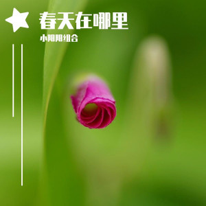收聽小陽陽組合的春天在哪裏歌詞歌曲