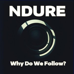 NDure的专辑Why Do We Follow?