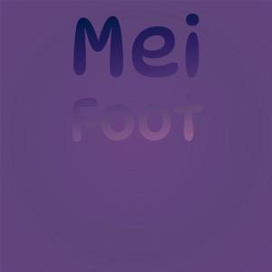 ดาวน์โหลดและฟังเพลง Mei Foot พร้อมเนื้อเพลงจาก Wael Laio