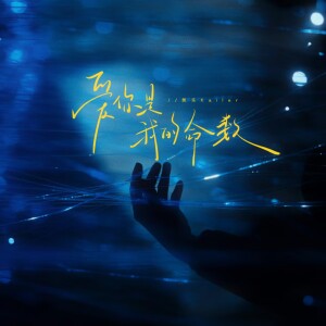 莉莉安的专辑爱你是我的命数