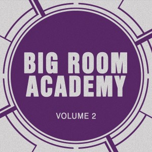 收聽Big Room Academy的Happy Together歌詞歌曲