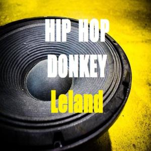 Hip Hop Donkey