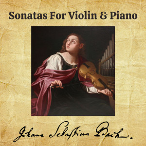 Listen to V. Allegro song with lyrics from Yehudi Menuhin