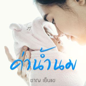 Listen to ค่าน้ำนม song with lyrics from ชาญ เย็นแข