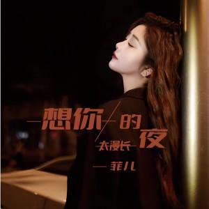 Album 想你的夜太漫长 from 菲儿