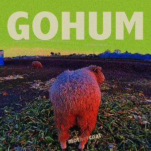 Mothercoat的專輯GOHUM