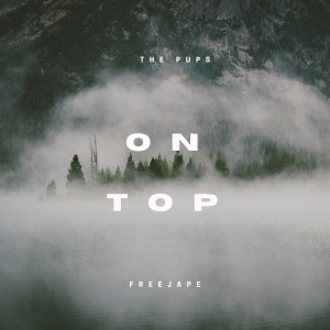 Album On Top (Explicit) from The pups