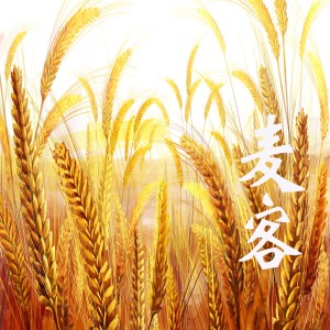 收聽王建房的麥客歌詞歌曲