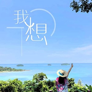 收聽董昱昆的我想 (超火版)歌詞歌曲