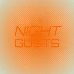 Album Night Gusts from Various