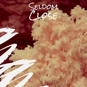 Album Seldom Close from Various