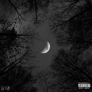 Listen to Moonlight (Explicit) song with lyrics from Wolfgang Black