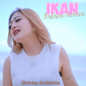 Album Ikan Dalam Kolam from Shinta Arshinta