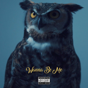 ดาวน์โหลดและฟังเพลง Wanna Be Me (Explicit) พร้อมเนื้อเพลงจาก Jaclyn Gee