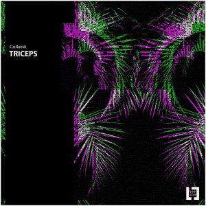 Dengarkan lagu Triceps nyanyian Collatiö dengan lirik