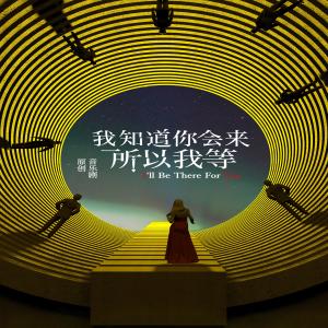 Album Wo Zhi Dao Ni Hui Lai, Suo Yi Wo Deng from 张超 (Baritone)