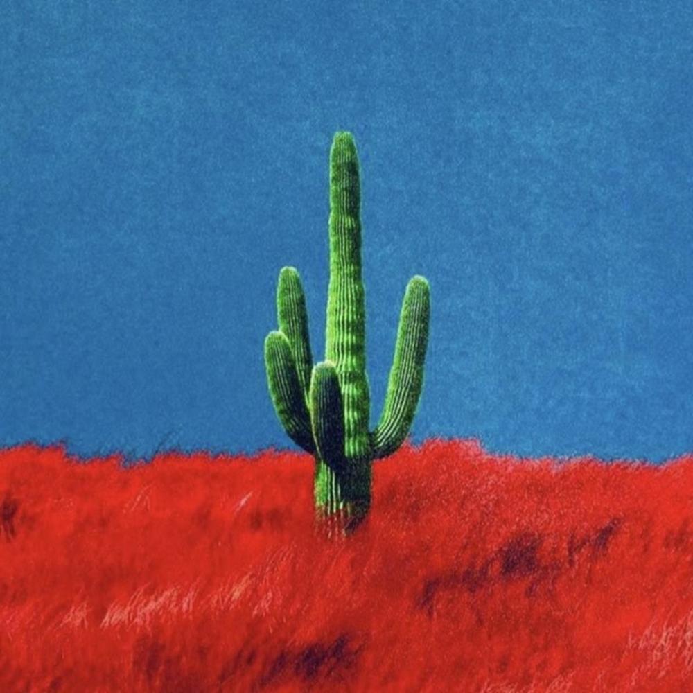 Yo Te Di Una Rosa (Explicit)