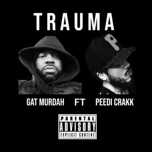 Peedi Crakk的專輯TRAUMA (feat. Peedi Crakk) (Explicit)