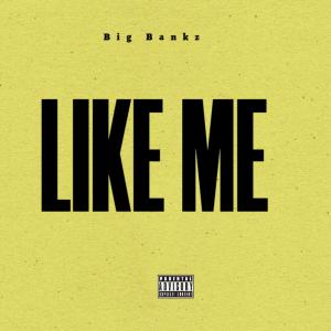 Album Like Me (Explicit) from 