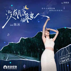 Album 没有月亮的夜晚 from 陈冰