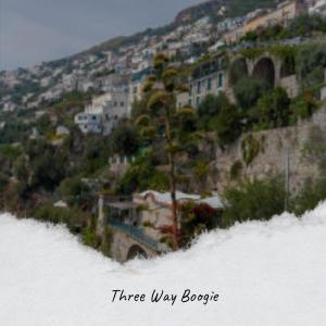 Various Artist的专辑Three Way Boogie