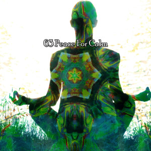 Album 63 Peace For Calm oleh Yoga Sounds