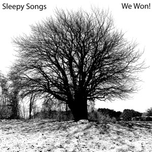Dengarkan We Won! lagu dari Sleepy Songs dengan lirik