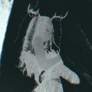 Album Everything Fell Apart So Gently, As If It Never Meant To Stay, Back Again from ERRORWAVE