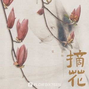Listen to 摘花 (伴奏) song with lyrics from 张星特