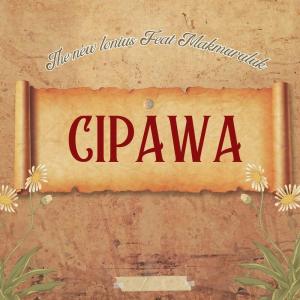 Listen to Cipawa song with lyrics from Aang Delana