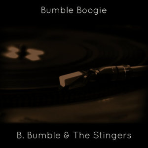 B. Bumble & The Stingers的專輯Bumble Boogie
