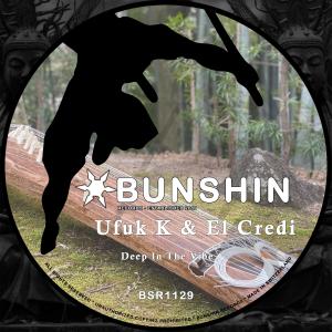收聽Ufuk K的Deep In The Vibe歌詞歌曲