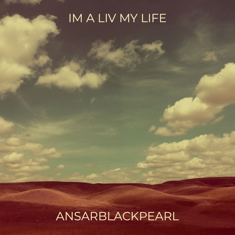 Im a Liv My Life