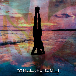 30 Healers For The Mind