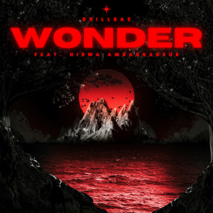 อัลบัม Wonder ศิลปิน Drillbaz