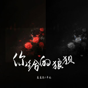 Album 你给的狼狈 from 卓宛