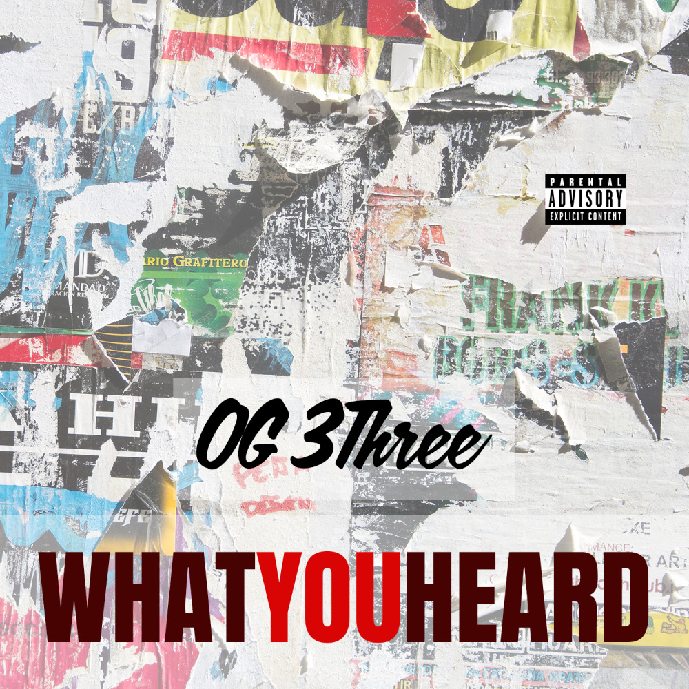What You Heard (Explicit)