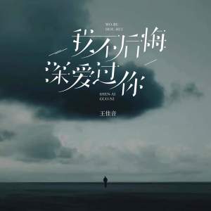 Album 我不后悔深爱过你 from 王佳音