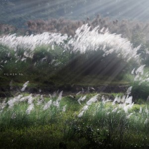 Listen to Mindfulness song with lyrics from Helena Kim