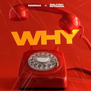 Norma ZM的專輯WHY?