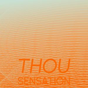 Album Thou Sensation from Various