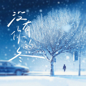 Album 没有你的冬 from 