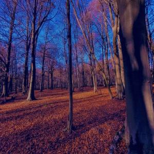 收聽JOP的Zones (feat. Urchin) (Instrumental)歌詞歌曲