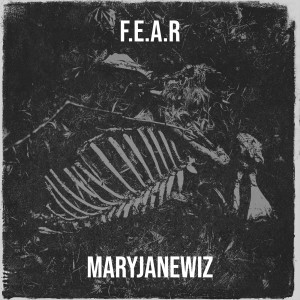 的专辑F.E.a.R (Explicit)