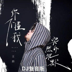 王韻的專輯你不懂我突然的沉默(DJ魅音版)